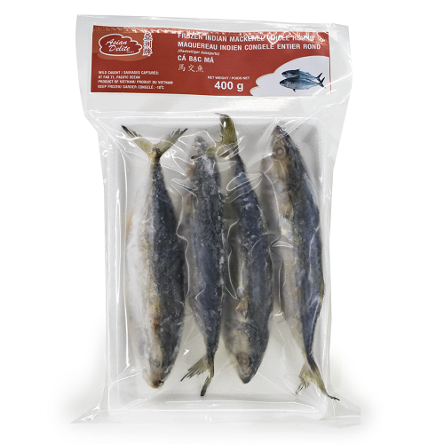 Hasa_Hasa_(VP)_India_Mackerel